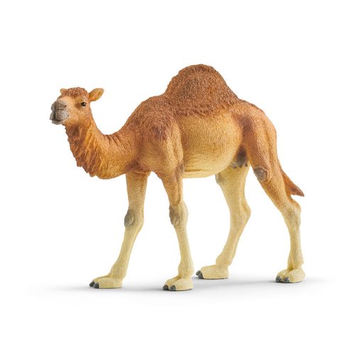 Camel Toy Figure – Realistic Desert Animal Model